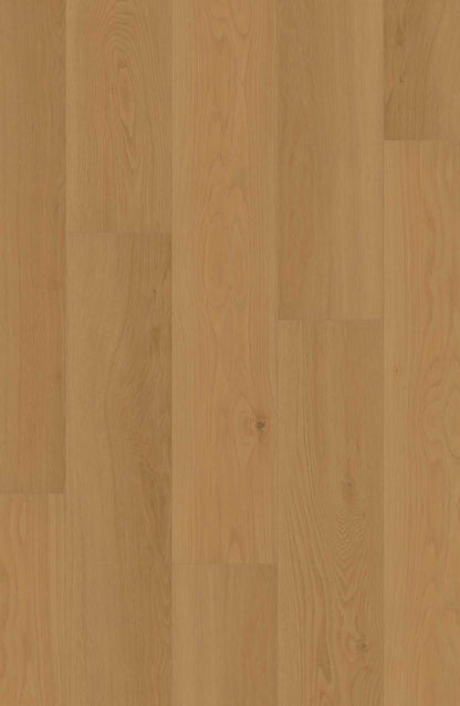 Comfort Enhanced NE+ in Daybreak Oak