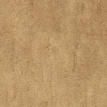 Desert Vista