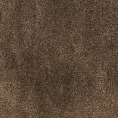 Desert Vista