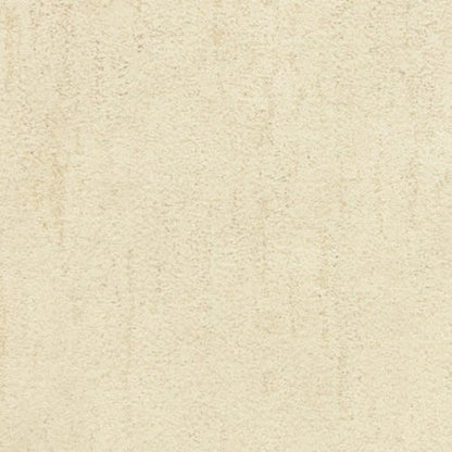 Desert Vista in Moraine Carpet