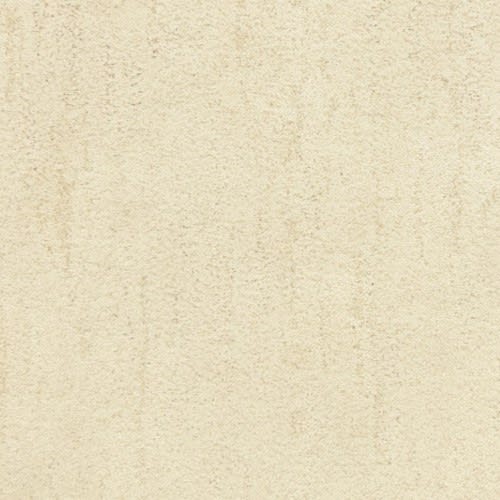 Desert Vista in Moraine Carpet