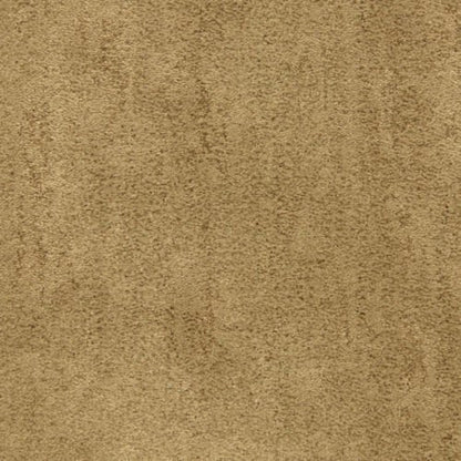 Desert Vista