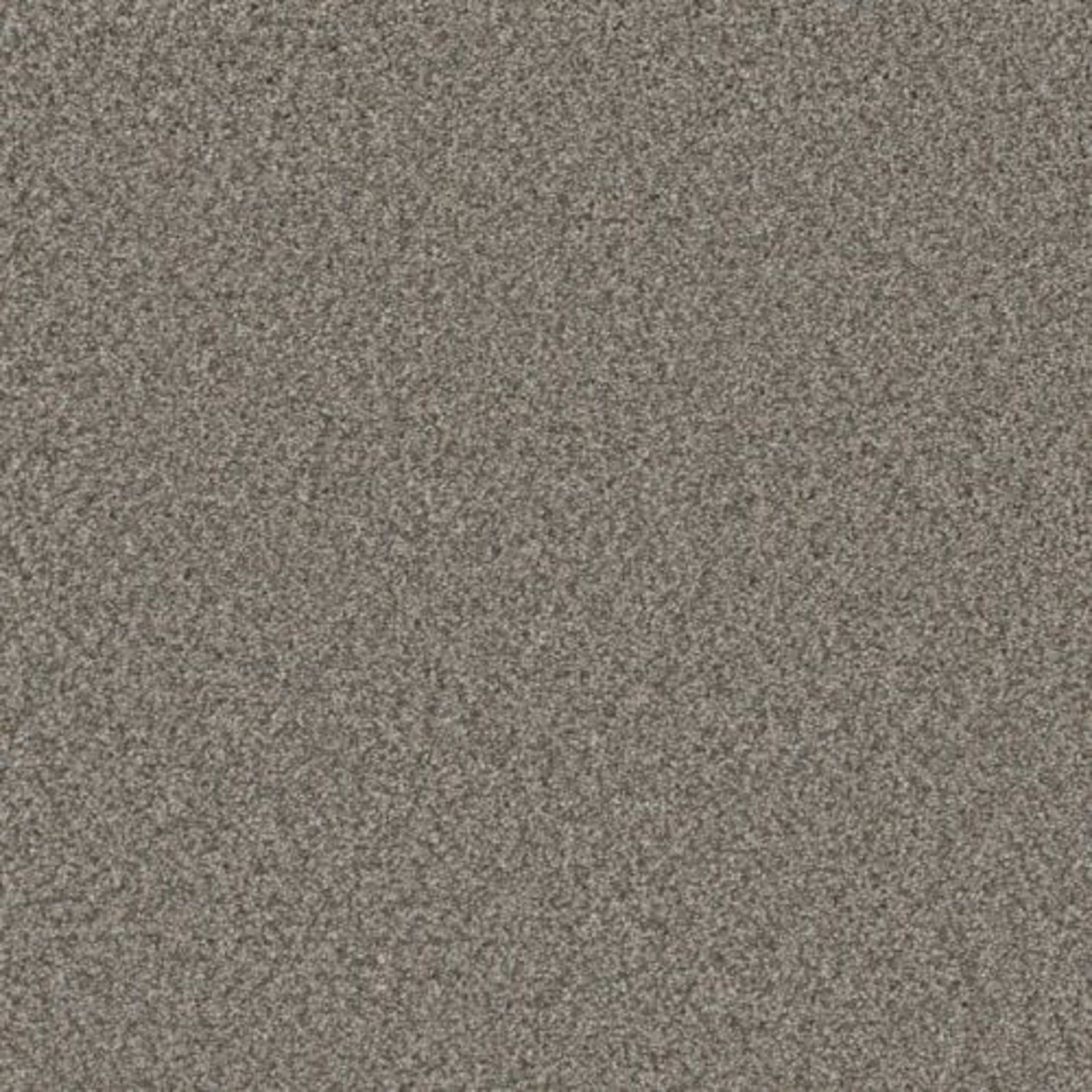 ROYALE II in Dogwood Carpet
