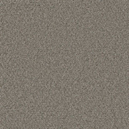 ROYALE II in Dogwood Carpet