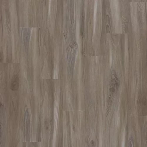 Explorer's Cove in Dolphin Luxury Vinyl