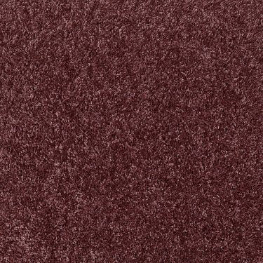 Dreamin' 12' in Carpet Flooring