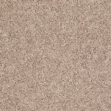 Let'S Go (S) in Carpet Flooring