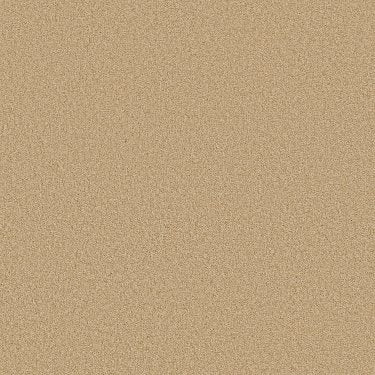 Enduring Comfort IIi In Carpet Flooring