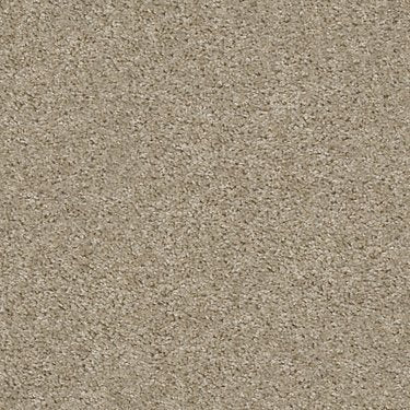 Max Appeal in Carpet Flooring