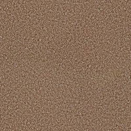 Parlay in Ridgecrest Carpet