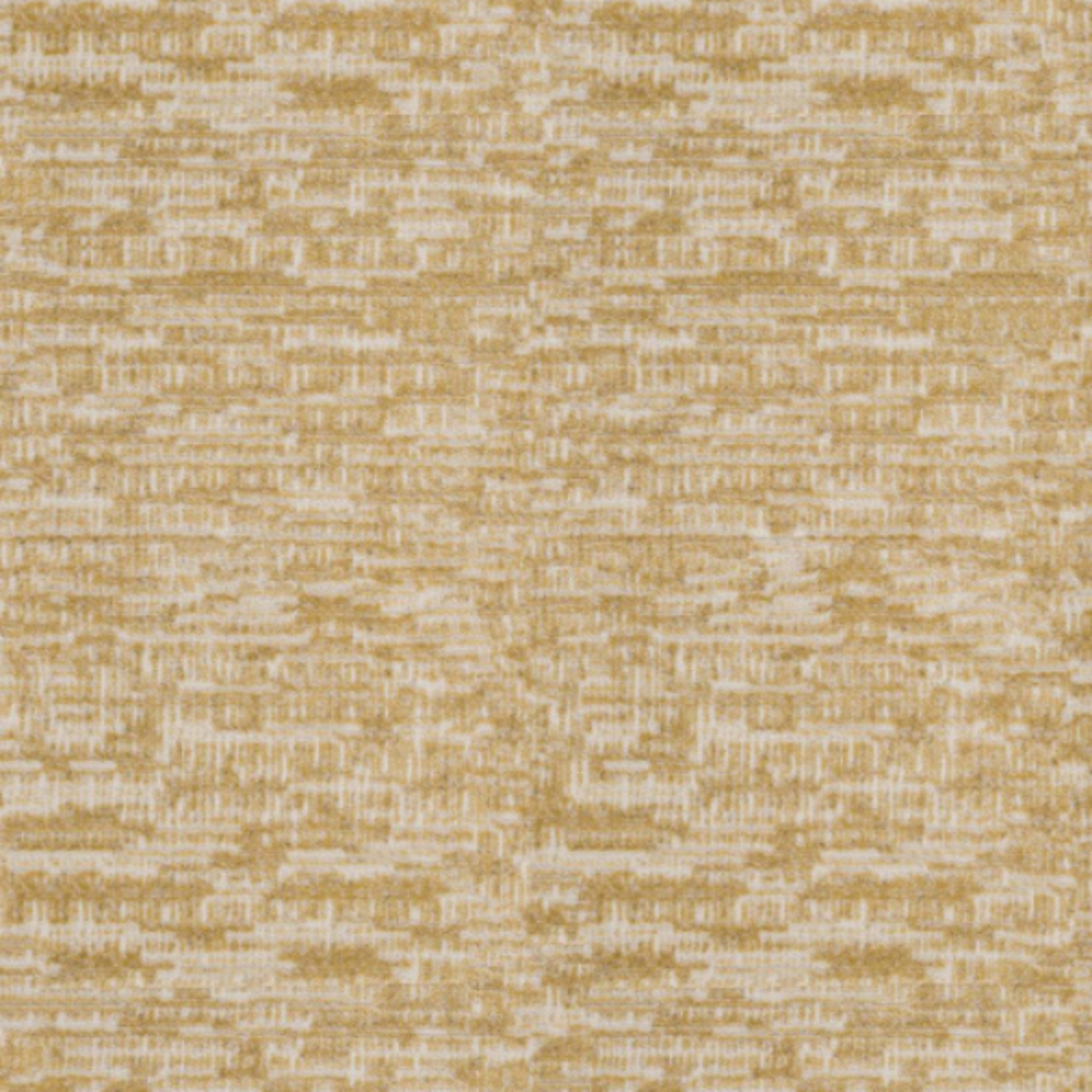 Track in Amber Carpet