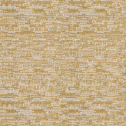 Track in Amber Carpet