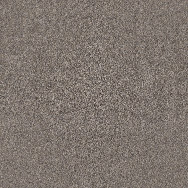 Shake It Up (A) in Carpet Flooring