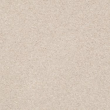 Basic Rules In Carpet Flooring