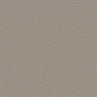 Shake It Up (S) in Carpet Flooring