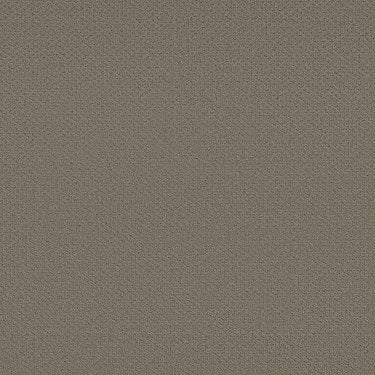 Infallible Instinct In Carpet Flooring