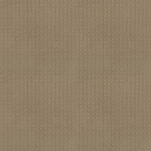 ALLURING DISPOSITION in Safari Carpet