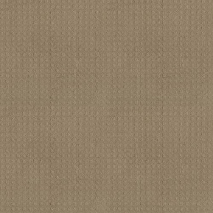 ALLURING DISPOSITION in Safari Carpet