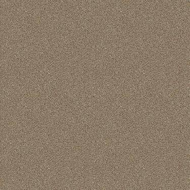 Cabana Bay Tonal in Carpet Flooring