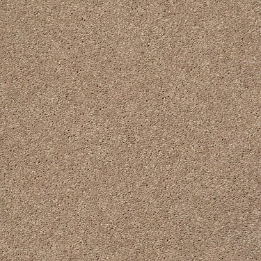 Cabana Life Solid in Carpet Flooring