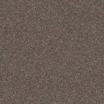ATTAINABLE in Urban Loft Carpet