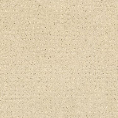 In Savannah in Carpet Flooring