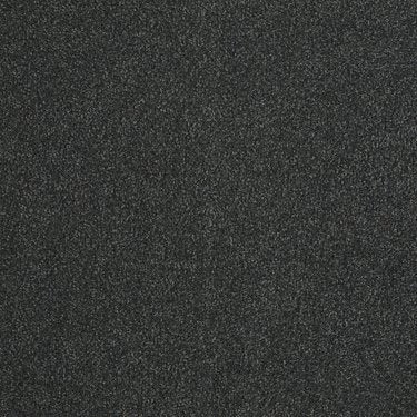 Shingle Creek III 12'