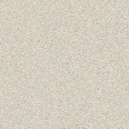 Gold Texture Tonal in Denali Carpet