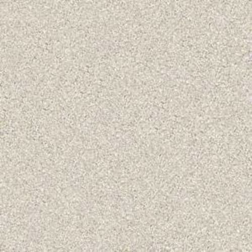 Gold Texture Tonal in Denali Carpet