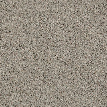 Find Your Comfort Ta Ii in Carpet Flooring