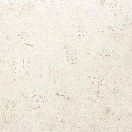 Eco-Nomical Collection