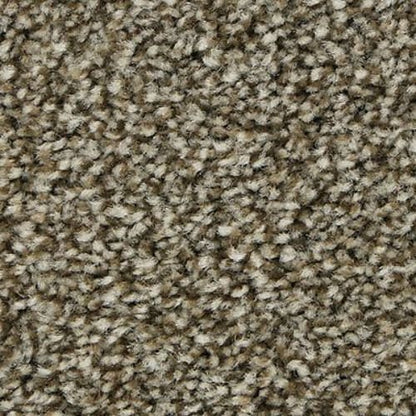 Polished Shades I