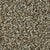Polished Shades I