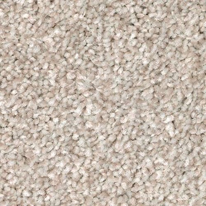 Polished Shades I