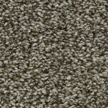 Polished Shades I