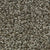 Polished Shades I