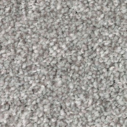 Polished Shades I