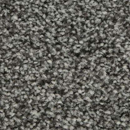 Polished Shades I