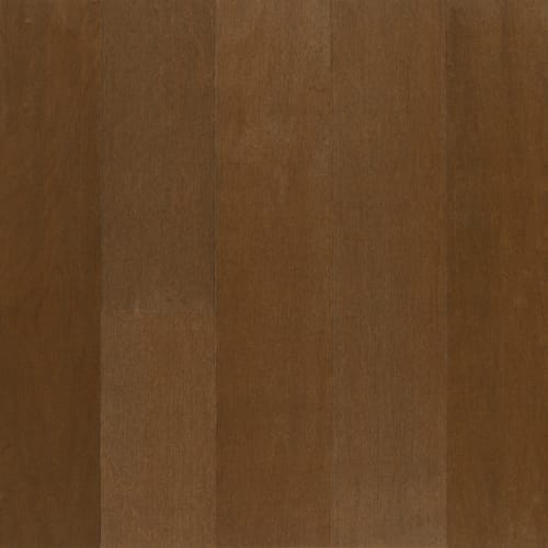 Performance Plus