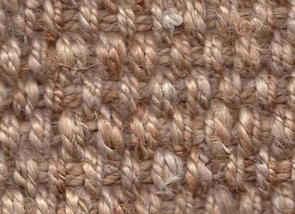 Palm/Natural Collection - Eastwind