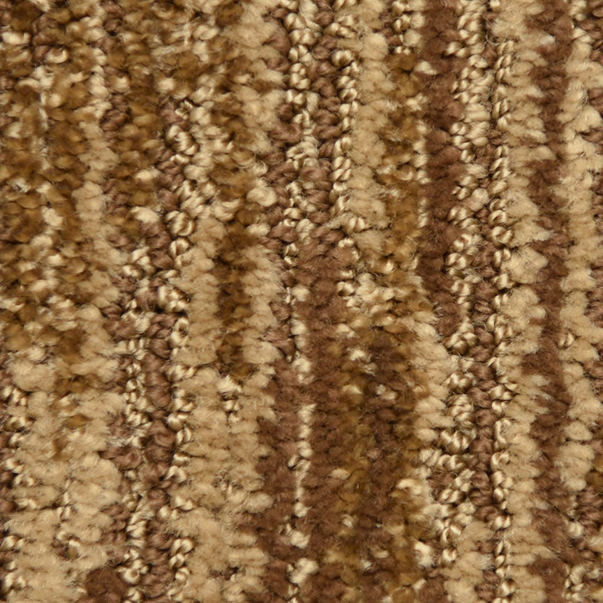 Envy 5940 in 42343 Spicy   Carpet Flooring | Dixie Home