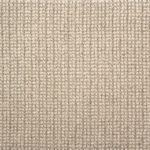Esha in Limestone Carpet