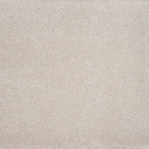 Evolve in Pearl Carpet