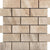 Eurasia in Eurasia Chiara - Mesh