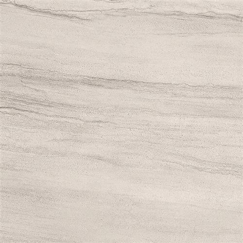 Sandstorm in Kalahari 12"x24" Tile