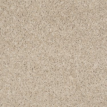 Complete Allure (S) in Carpet Flooring