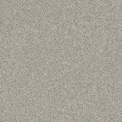 Windy City I in Falling Star Carpet