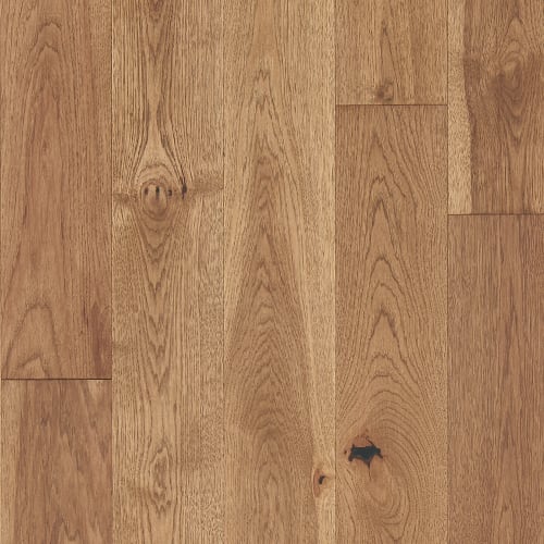 Latitude Collection - Forest Park