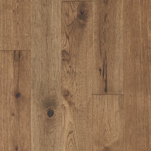 Latitude Collection - Forest Park