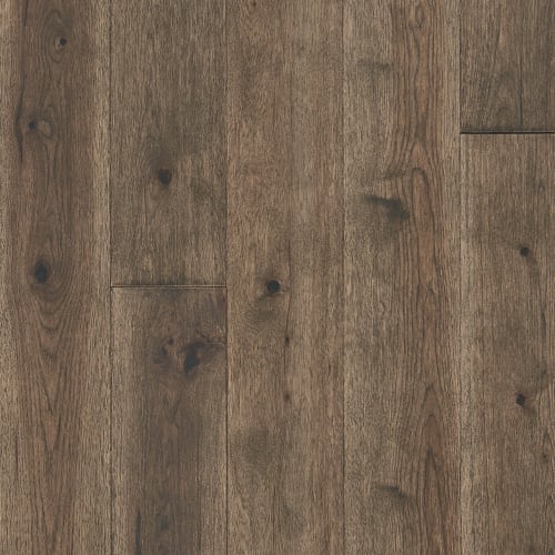 Latitude Collection - Forest Park